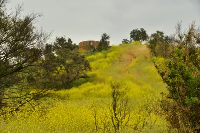 DSC_6291 (Large).JPG